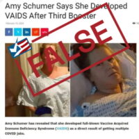 Amy Schumer Has Endometriosis, Not a Vaccine-Related Ailment