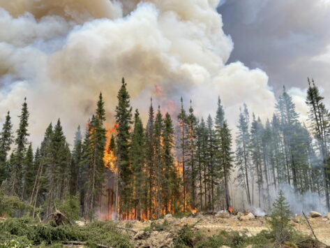 Posts Mislead About Record-Setting Canadian Wildfires Fueled by Climate Change