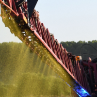 Politicians Say Glyphosate Weedkiller Causes Cancer But Evidence Not Clear-Cut