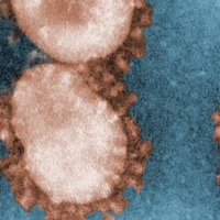 Video distorsiona las primeras investigaciones sobre coronavirus para promover una teoría de conspiración infundada sobre armas biológicas