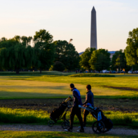 Social Media Posts Push False Claim of Trump Chopping Down 60 Cherry Trees Social Media Posts Push False Claim of Trump Chopping Down 60 Cherry Trees
