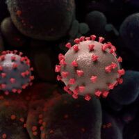 No hay pruebas de que Pfizer realizara experimentos inadecuados con el coronavirus