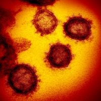Viral Social Media Posts Offer False Coronavirus Tips