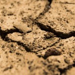 Trump’s Dubious Drought Claims