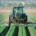 The Facts on Chlorpyrifos