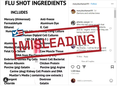 Flu Vaccine Ingredients Are Safe, Contrary to a Misleading Meme