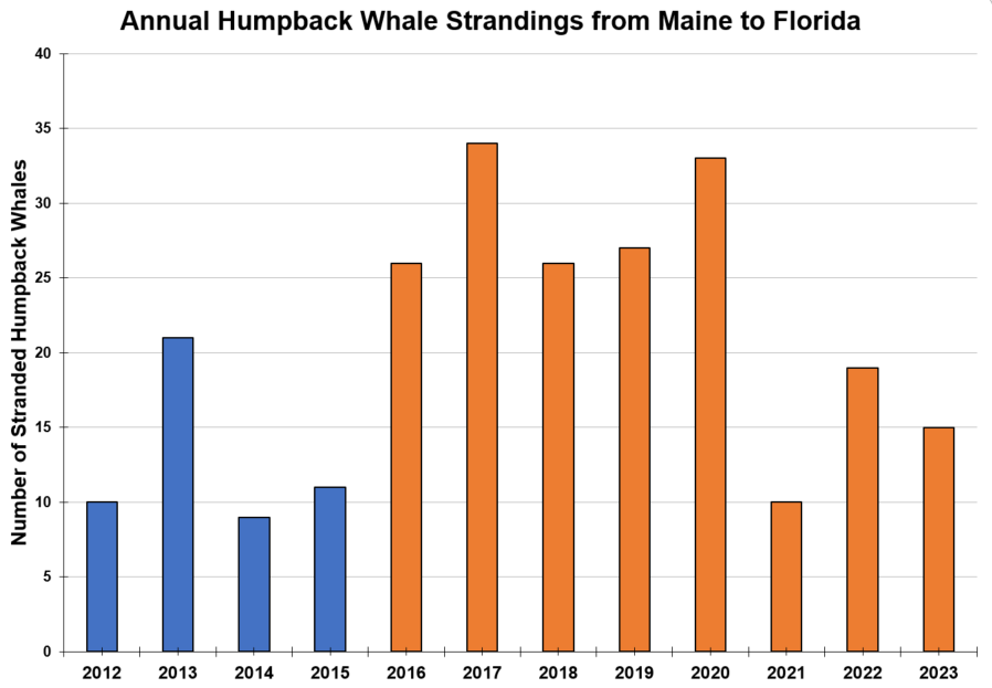 Trump claims wind mills are killng whales  Image-1-2