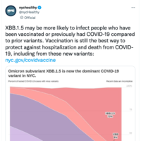 <strong>Mensajes malinterpretan tuit de las autoridades sanitarias de la ciudad de Nueva York sobre la subvariante XBB.1.5 de ómicron</strong>