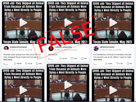 Instagram Posts Spread Texas Lawmaker's False Claims on Vaccine Testing -  