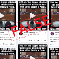 Mensajes en Instagram difunden declaraciones falsas de legislador texano sobre pruebas de vacunas