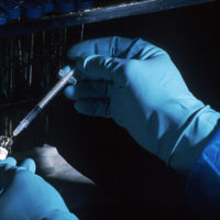 False Claim of Deadly Coronavirus Vaccine Trial in Africa
