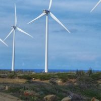 Trump Again Overblows Risks of Wind Power